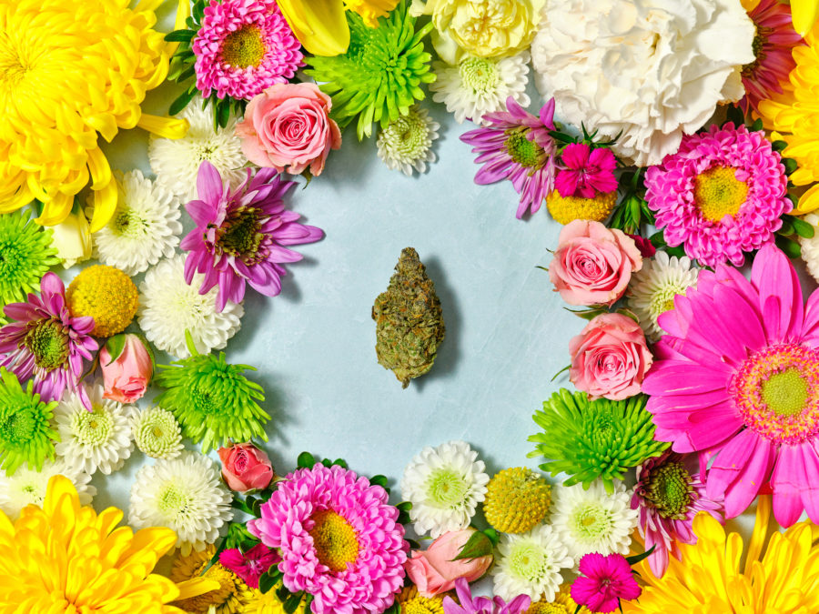A cannabis bud set in the middle of various flowers