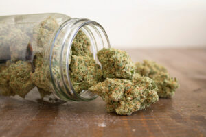 A tipped over glass jar of hybrid cannabis flower