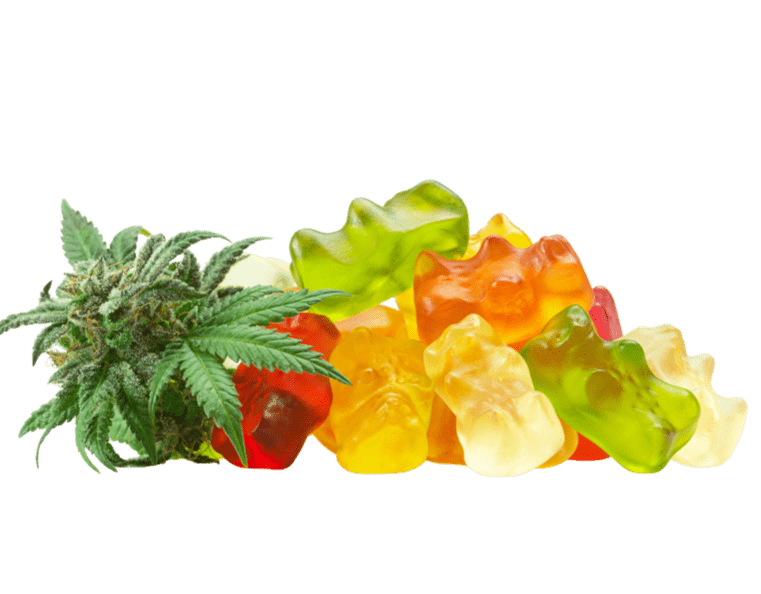 Types of Cannabis Edibles