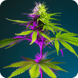 grid-Cannabis Lineage@2x