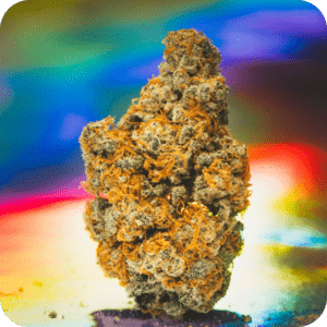 grid-Sativa Strains@2x